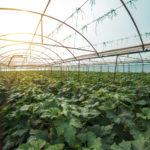 particulate monitoring