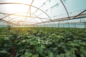 particulate monitoring